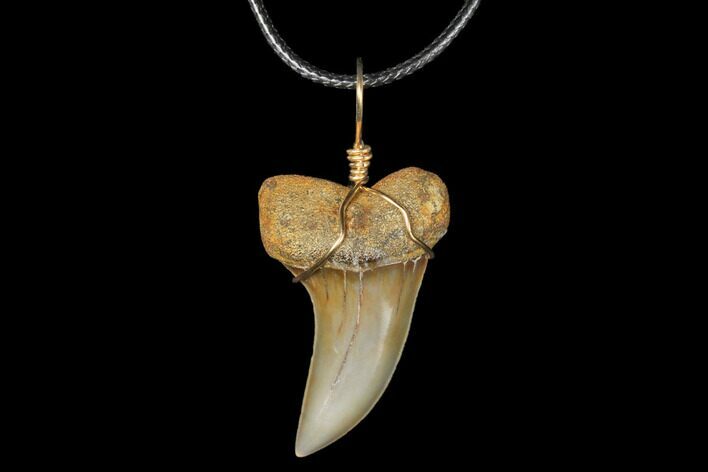 Fossil Mako Tooth Necklace - Bakersfield, California #130881